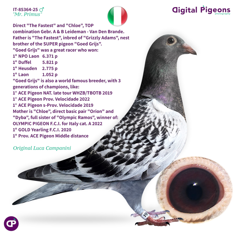 IT-85364-25