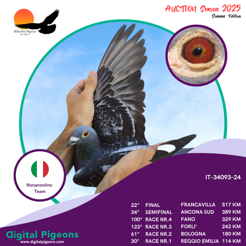 IT-34093-24