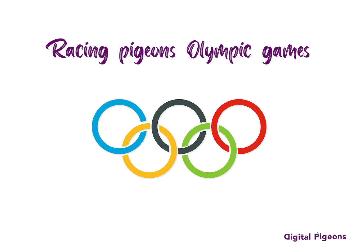 THE OLYMPIC GAMES OF RACING PIGEONS